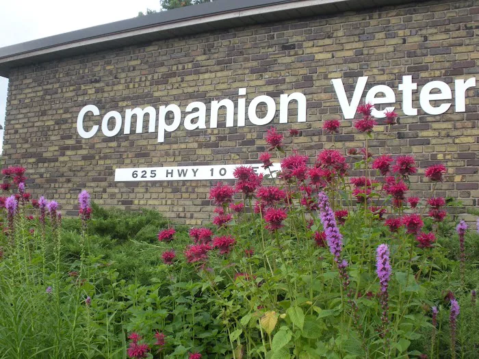 Companion Veterinary Hospital 7