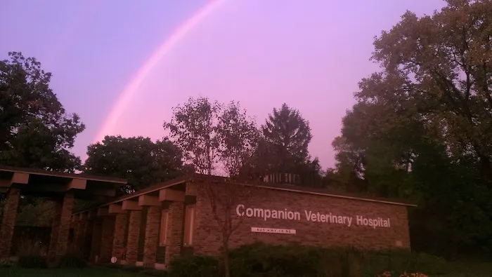 Companion Veterinary Hospital 8