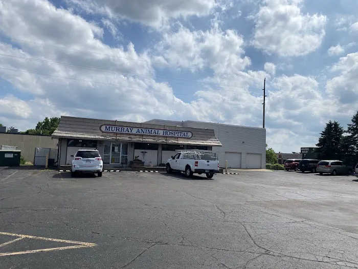 Murray Animal Hospital 8