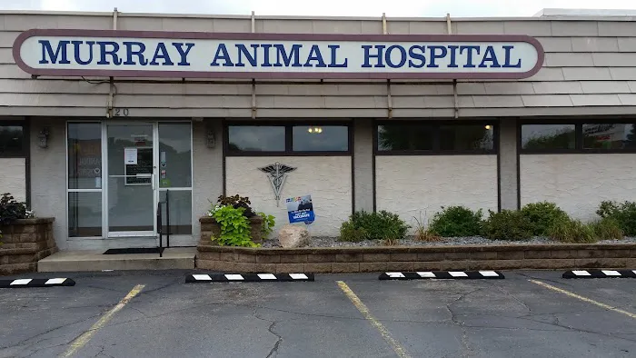 Murray Animal Hospital 6