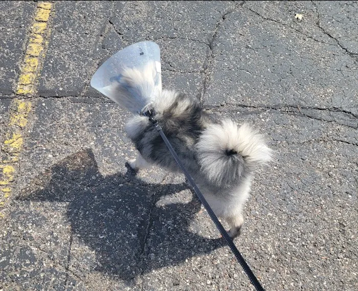 Murray Animal Hospital 4