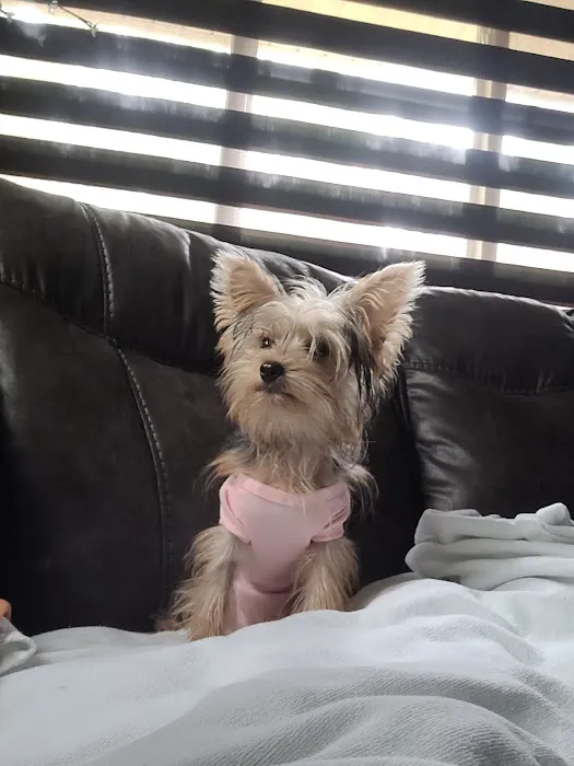 Murray Animal Hospital 1