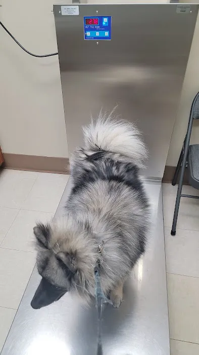 Murray Animal Hospital 3