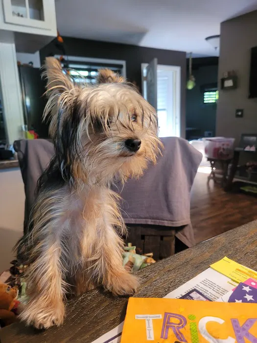 Murray Animal Hospital 5