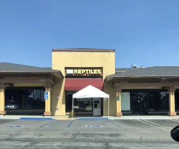 Amazon Reptile Center