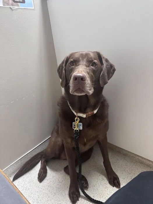Carver Lake Veterinary Center 3