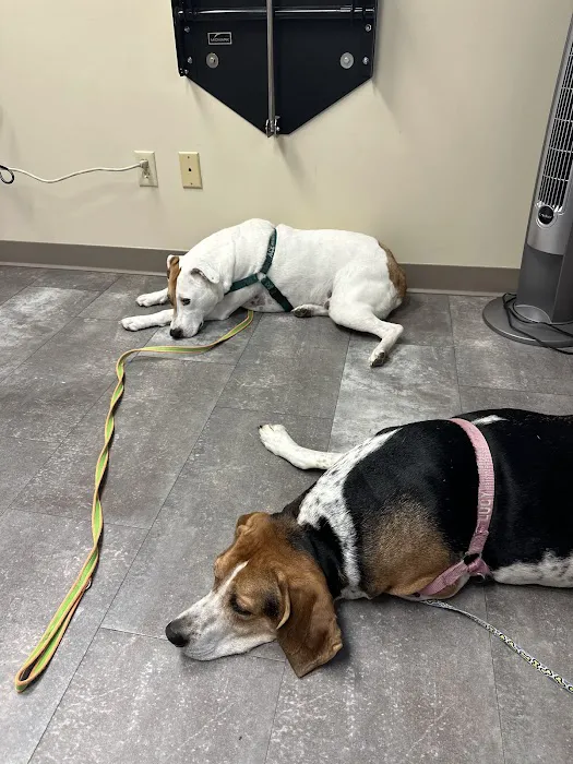 Carver Lake Veterinary Center 8