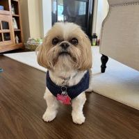 Carver Lake Veterinary Center ico