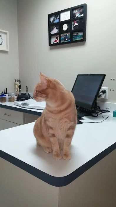Carver Lake Veterinary Center 5