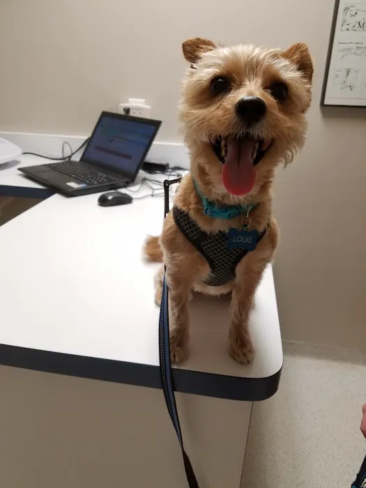 Carver Lake Veterinary Center 2