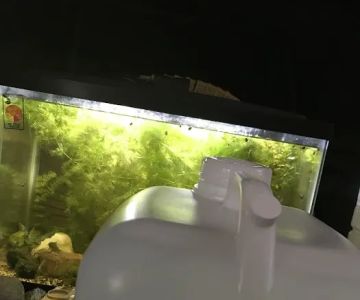 Jan's Tropical Fish
