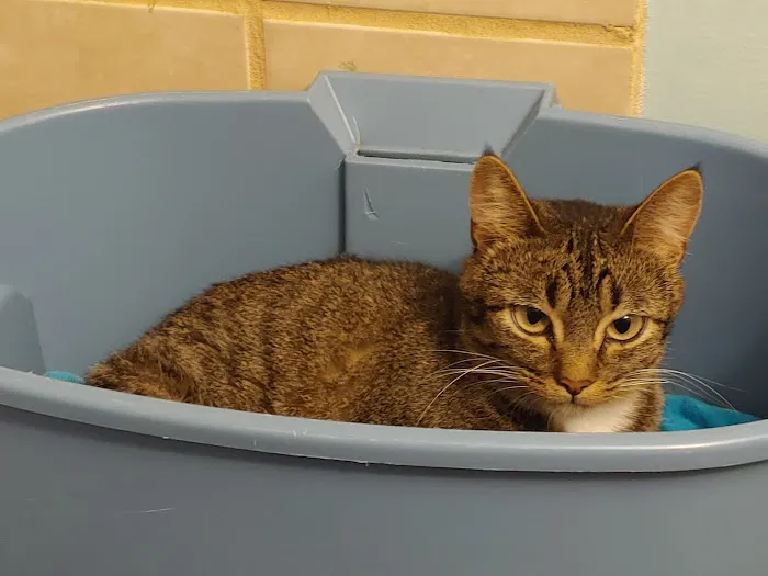 Animal Emergency & Referral Center of Minnesota (AERC) 12