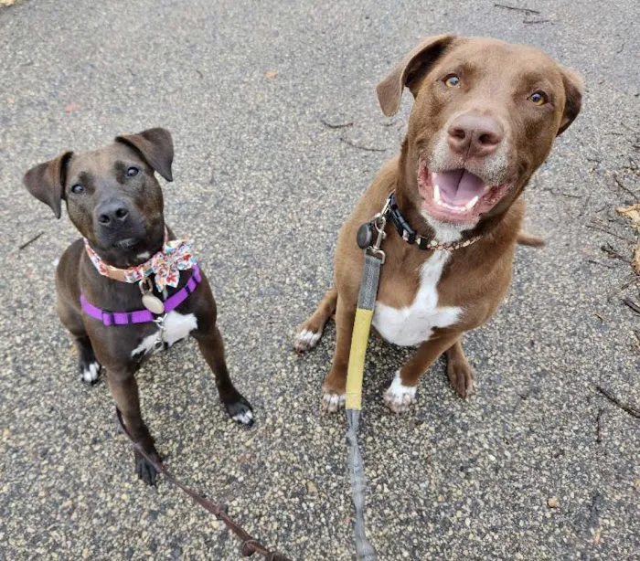 Animal Emergency & Referral Center of Minnesota (AERC) 12