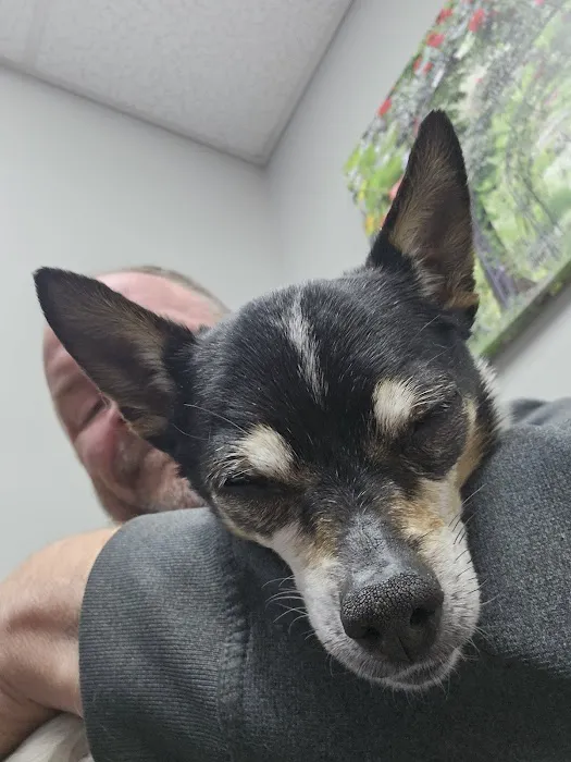 Oakdale animal hospital 1