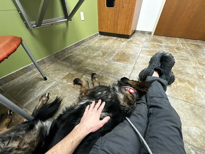 Oakdale animal hospital 2