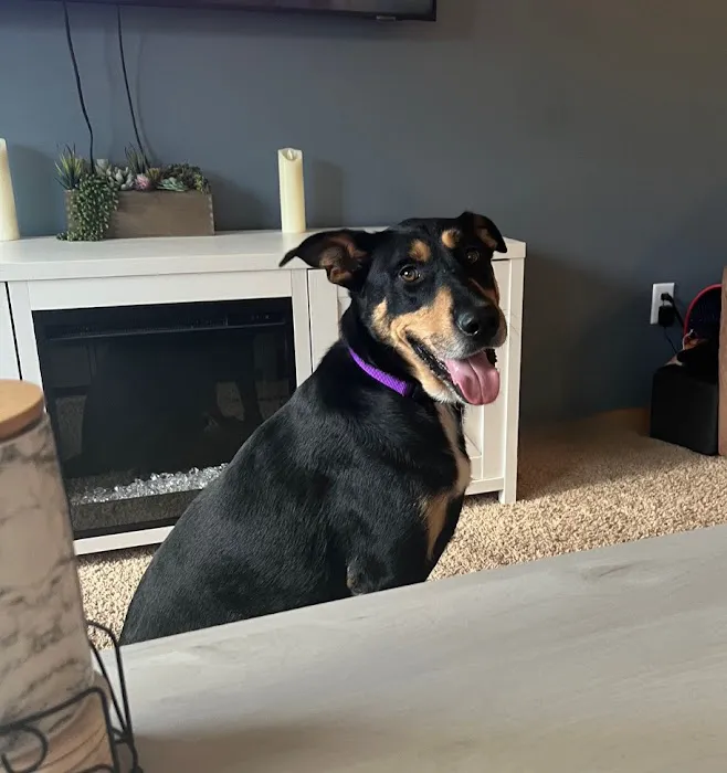 TLC Veterinary Hospital 6