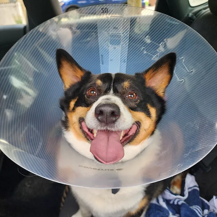 TLC Veterinary Hospital 10