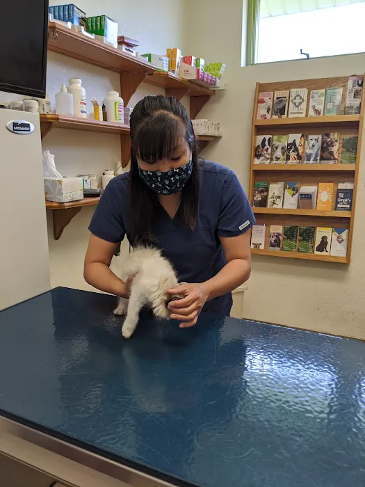 South St Paul Animal Hospital 10