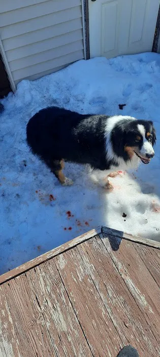 South St Paul Animal Hospital 4