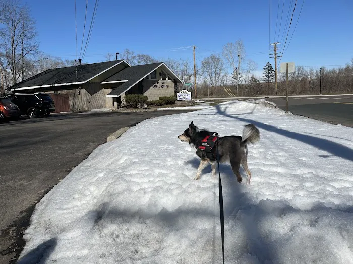South St Paul Animal Hospital 8