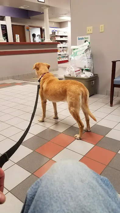 Hudson Road Animal Hospital 2