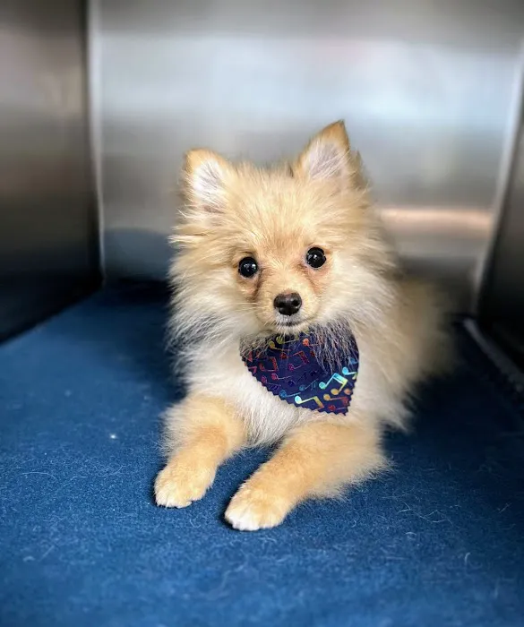Hudson Road Animal Hospital 7