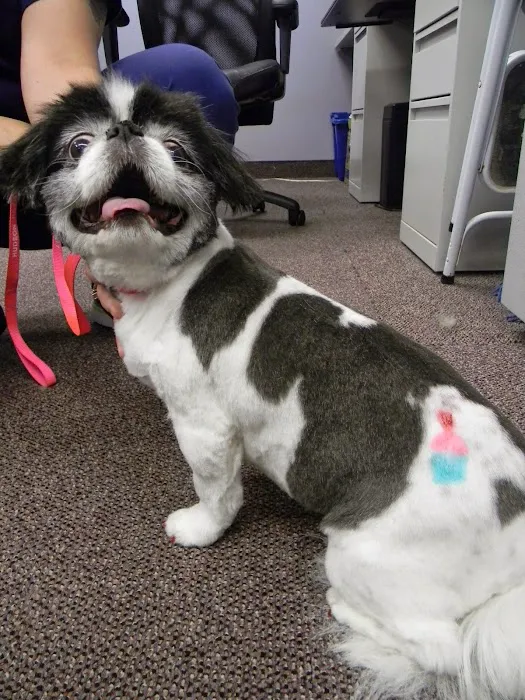 Hudson Road Animal Hospital 4