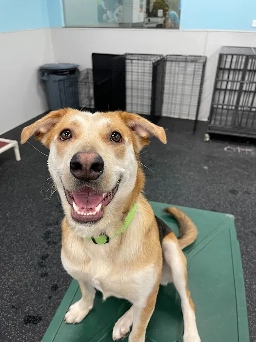Hudson Road Animal Hospital 10