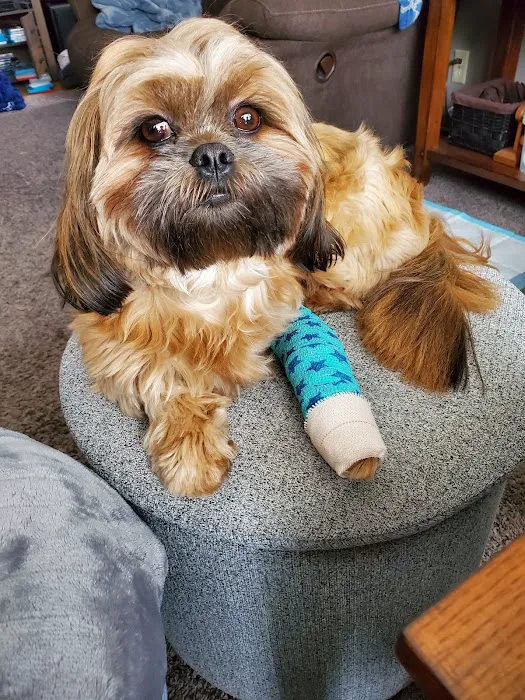 Blackberry Veterinary Center 7