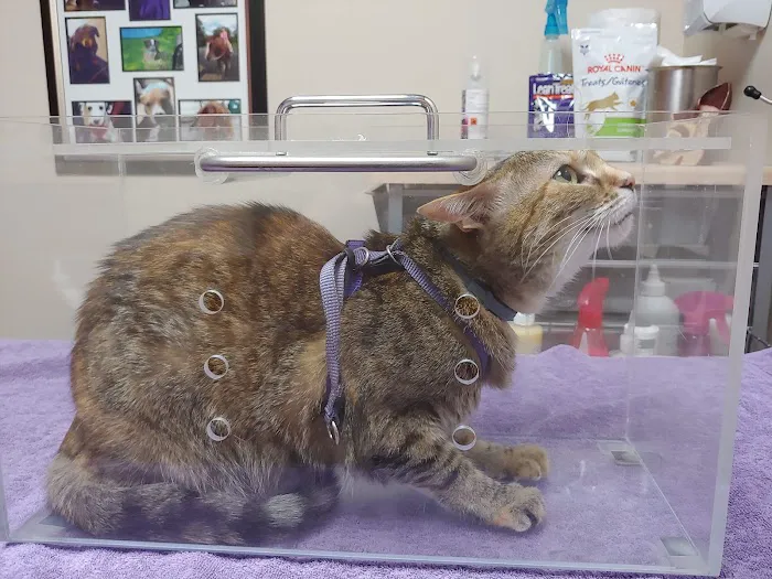 Blackberry Veterinary Center 4