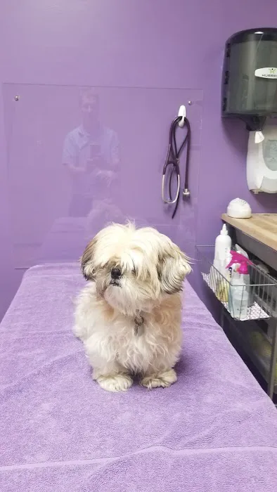 Blackberry Veterinary Center 6