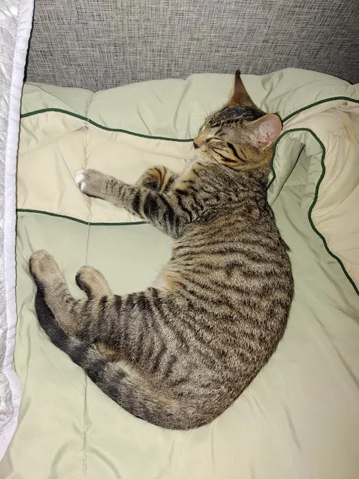 Blackberry Veterinary Center 5