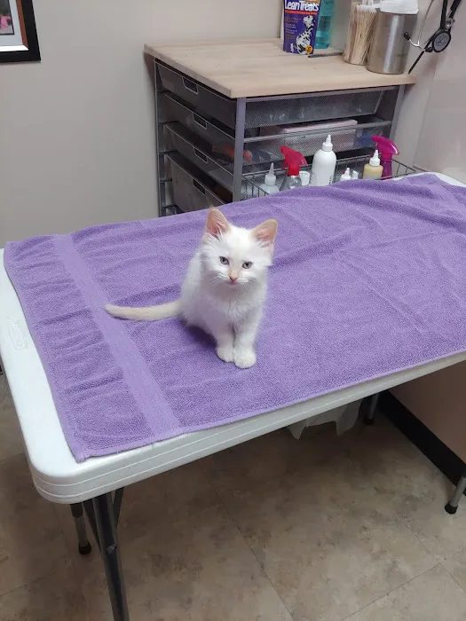 Blackberry Veterinary Center 1