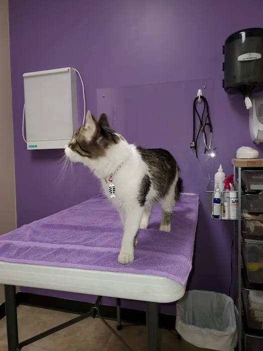 Blackberry Veterinary Center 9