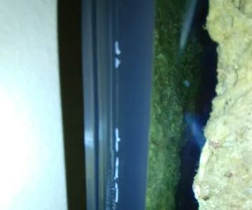 aquarium masters