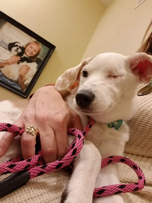 Inver Grove Heights Animal Hospital 1