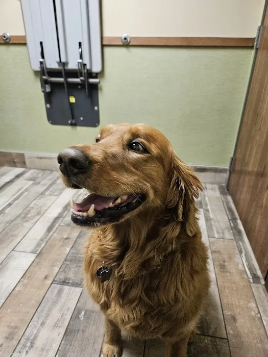 Inver Grove Heights Animal Hospital 2
