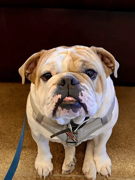 Inver Grove Heights Animal Hospital 3