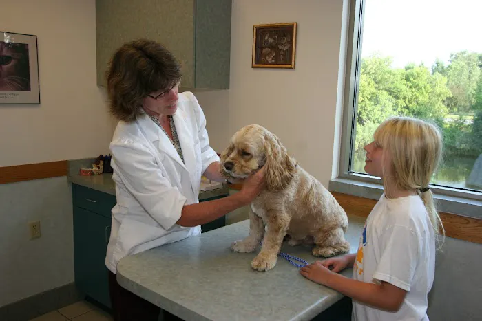 Companion Animal Hospital 8