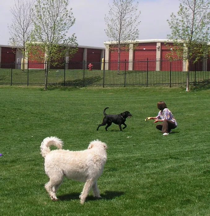 Companion Animal Hospital 10