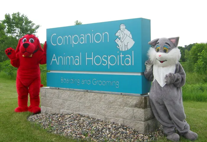 Companion Animal Hospital 4