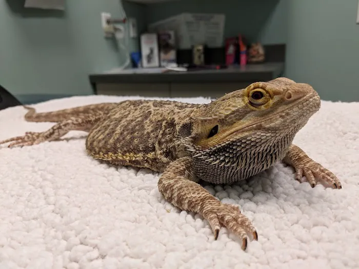 Lexington Pet Clinic 4
