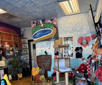 Angeleno Shop