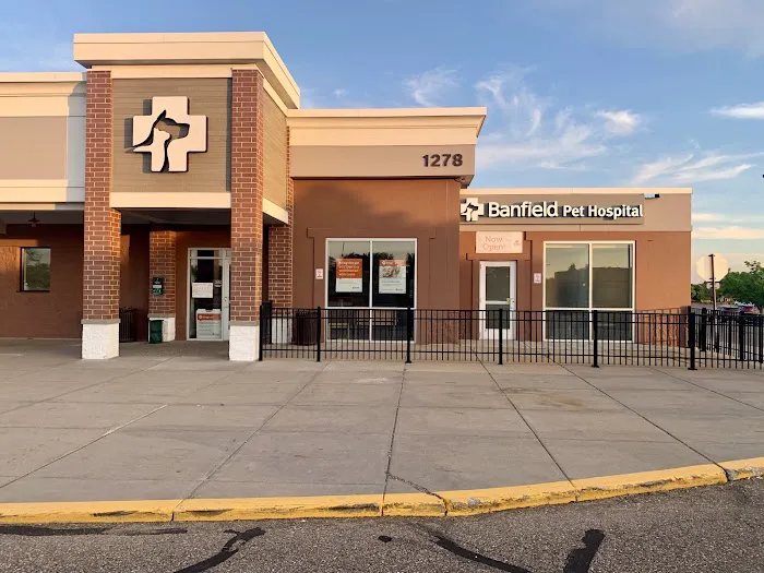 Banfield Pet Hospital 12