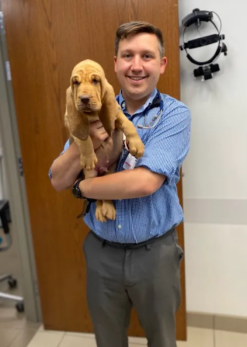 Vet Eye Pros 5