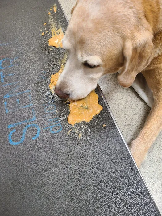 Napoleon Veterinary Clinic Inc 12