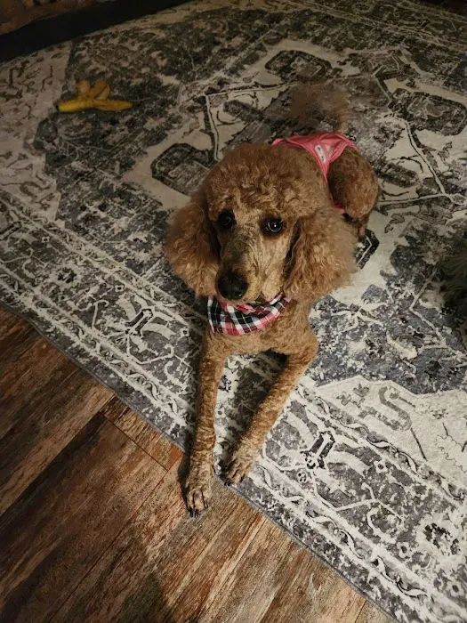 Napoleon Veterinary Clinic Inc 12