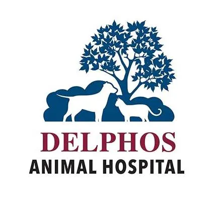 Delphos Animal Hospital 12