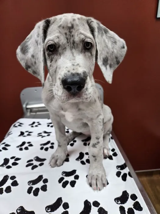 Kessen Veterinary Clinic 12