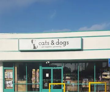 Cats & Dogs